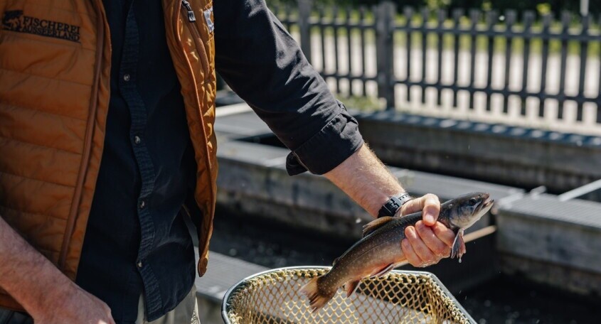 MITARBEITENDE*R TEICHANLAGEN (M/W/X), 1. Bild